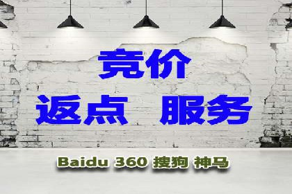 网站sem托管案例分享：如何精准投放广告